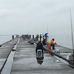 令和元年初日はポーアイで